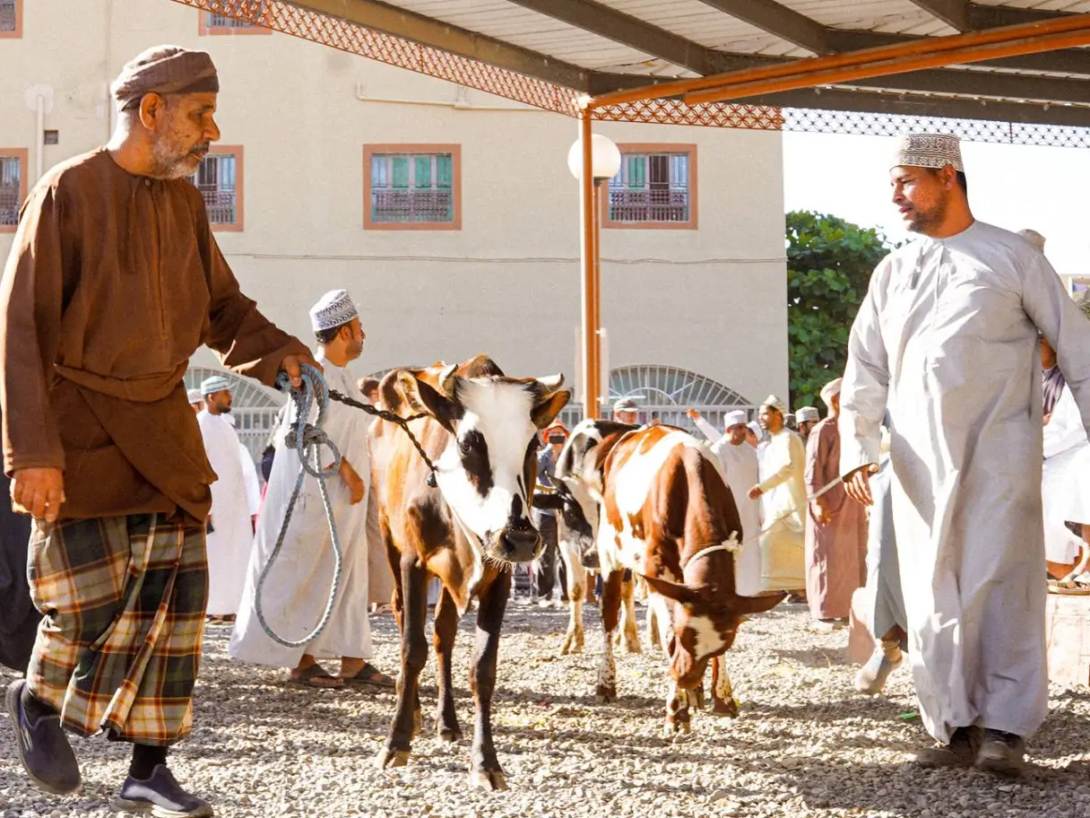 Photo of Explore the Beauty of Nizwa, photo 1 of 5