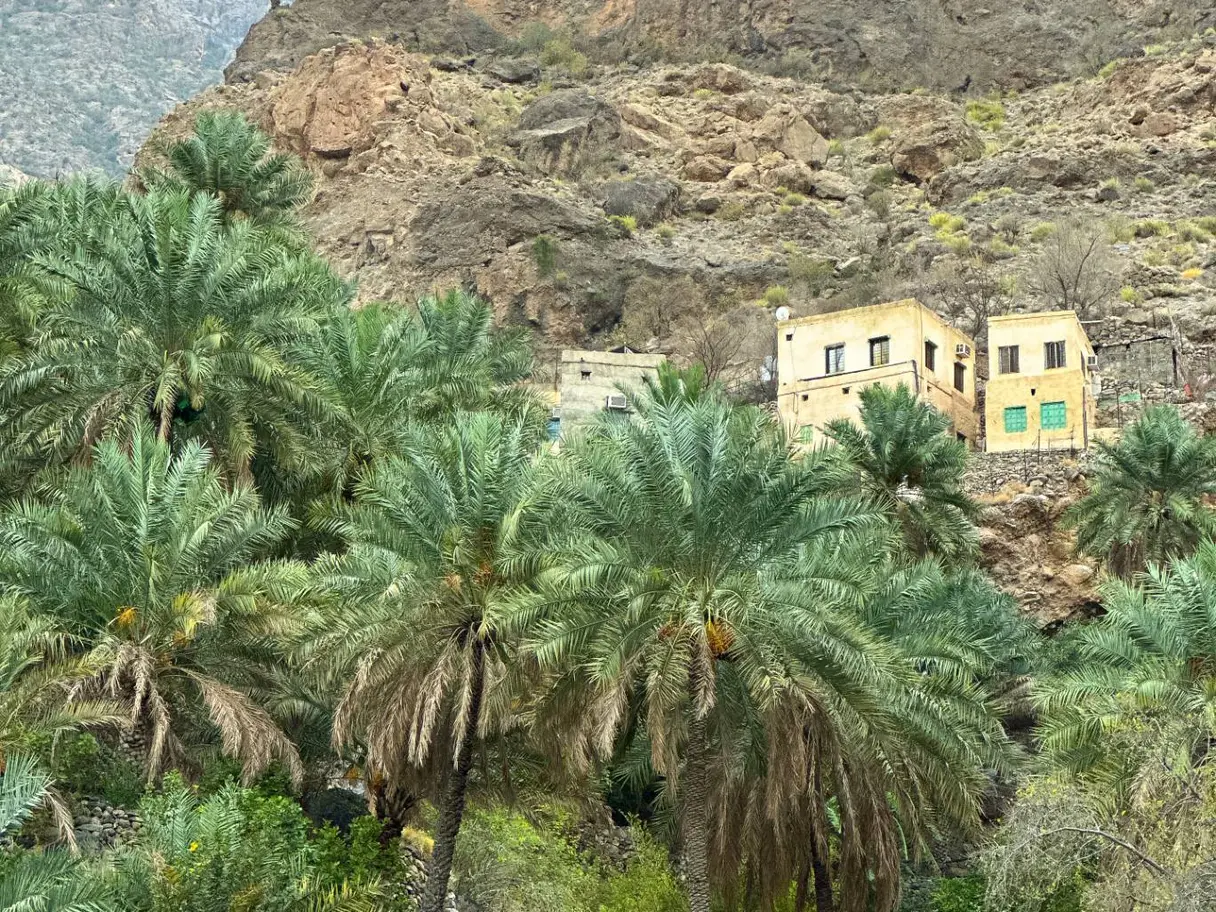Photo of Wadi Sahtan, Jamma, Nakhl, and Afai Walkway, photo 1 of 9
