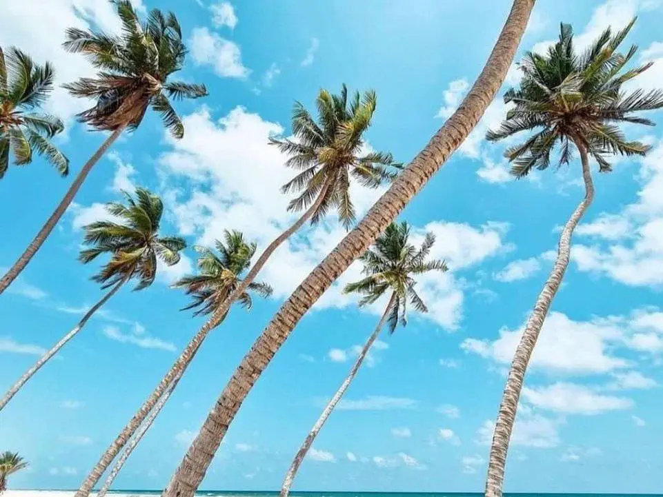 Photo of Dahariz Beach, photo 1 of 8