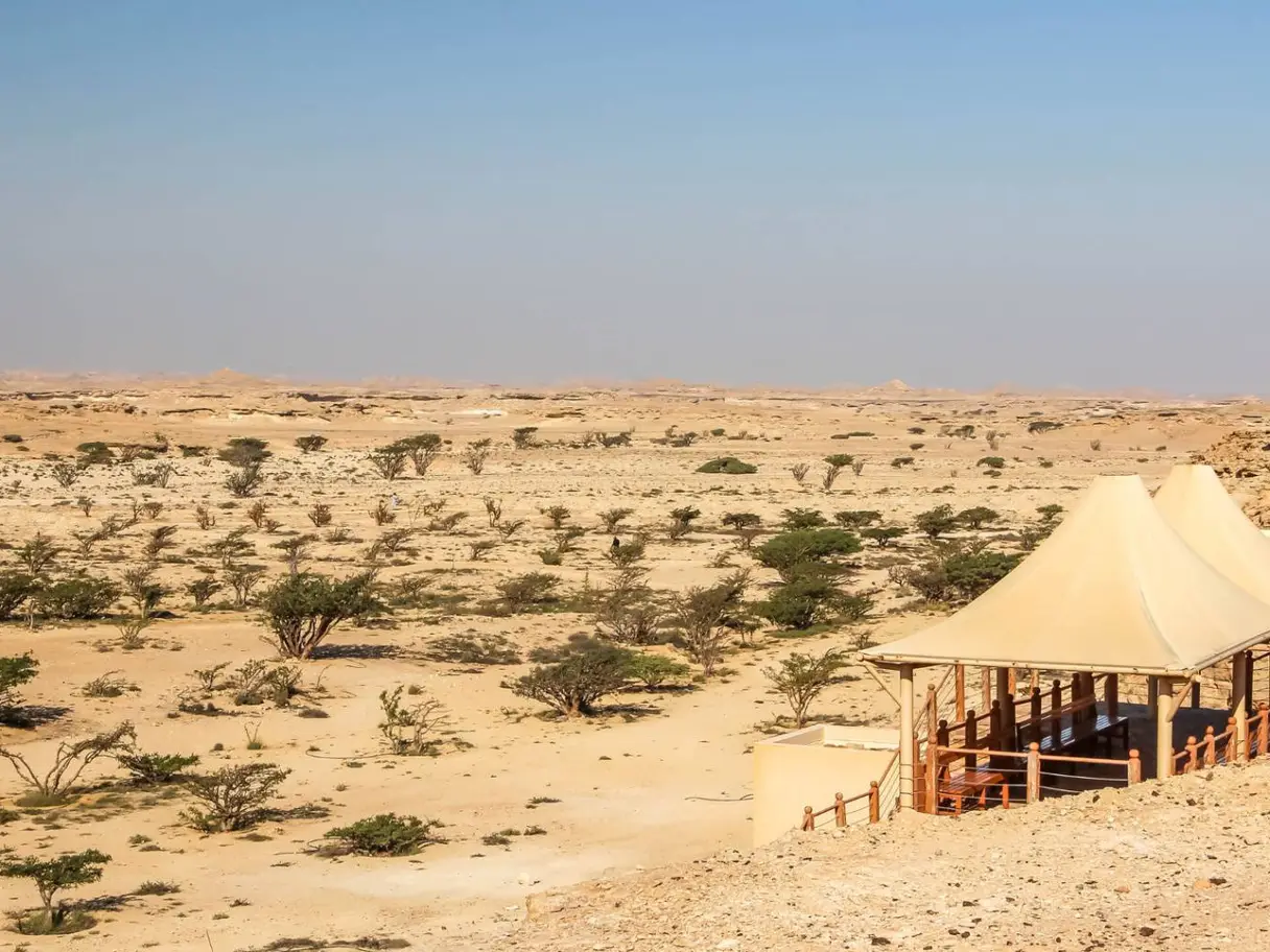 Photo of Wadi Dawkah Frankincense Park, photo 1 of 10