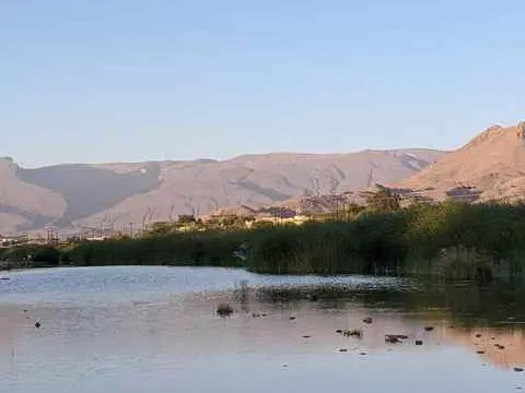 Main tour image for Nizwa Day Tour