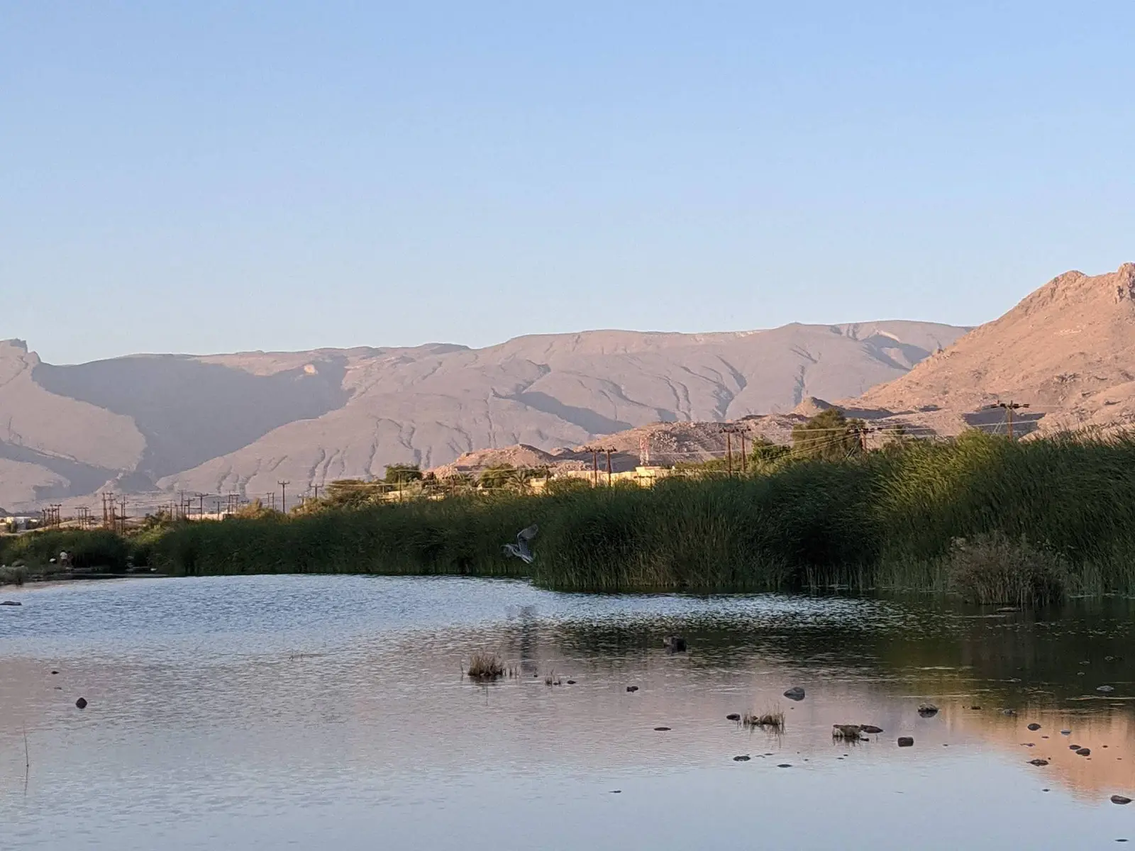 جولة يوم نزوى