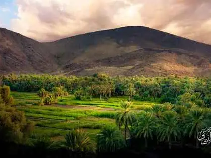 Main tour image for Experience Oman's Culture in traditional Ways