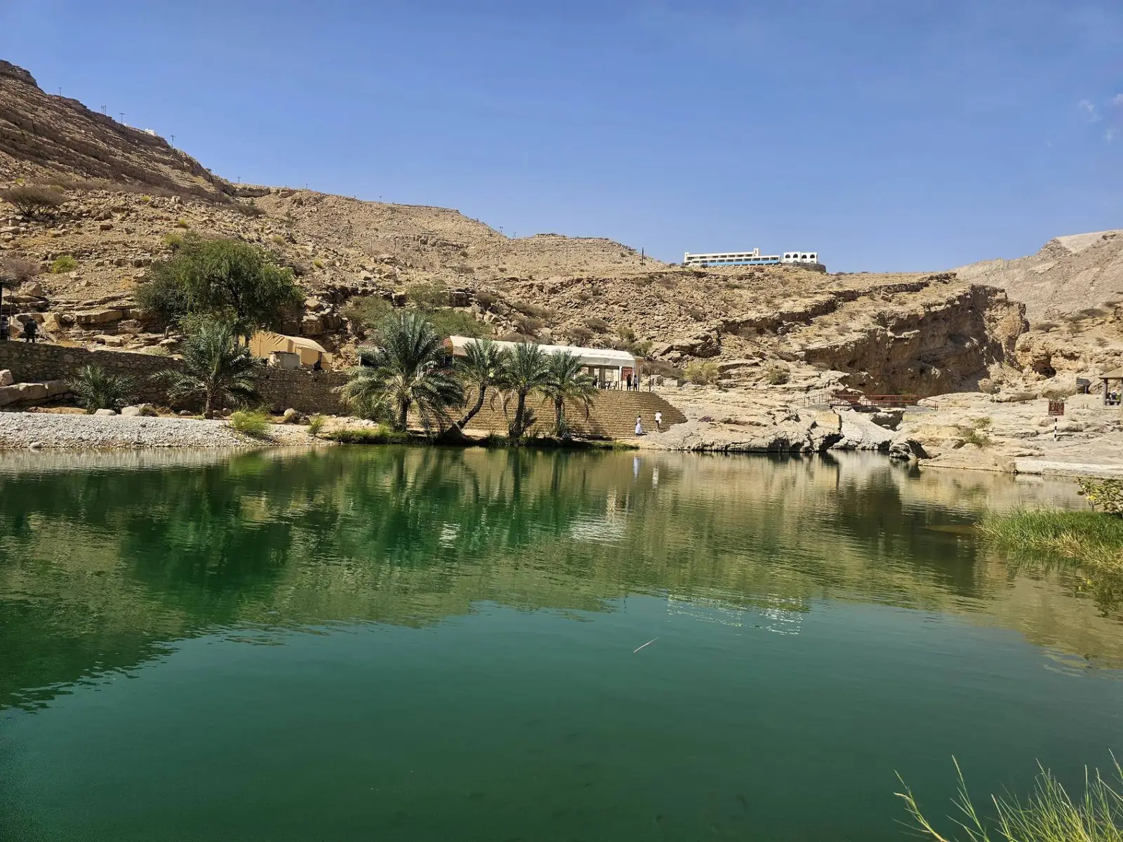 سفاري عُمان
