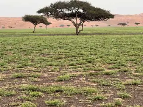 الصورة الرئيسية للجولة السياحة بالمنطقة الداخلية 