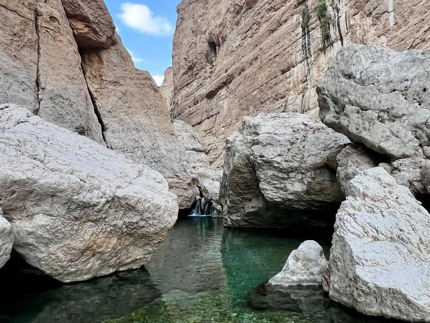وادي العربين