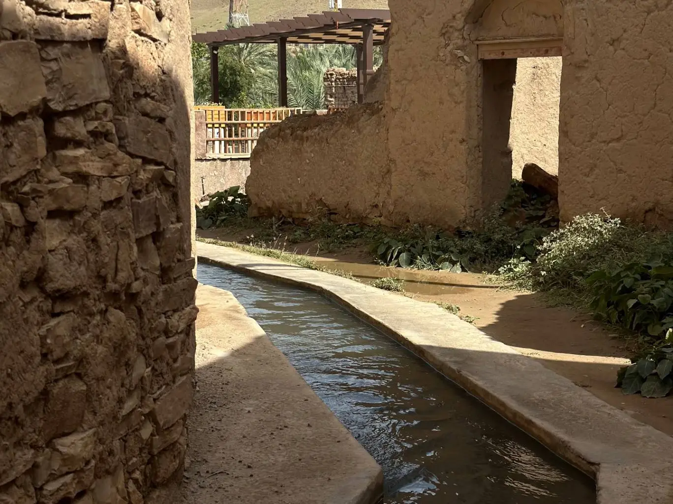 نزوى التاريخ