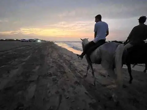Main tour image for Horseback riding on the beach 🌅🏇🏼