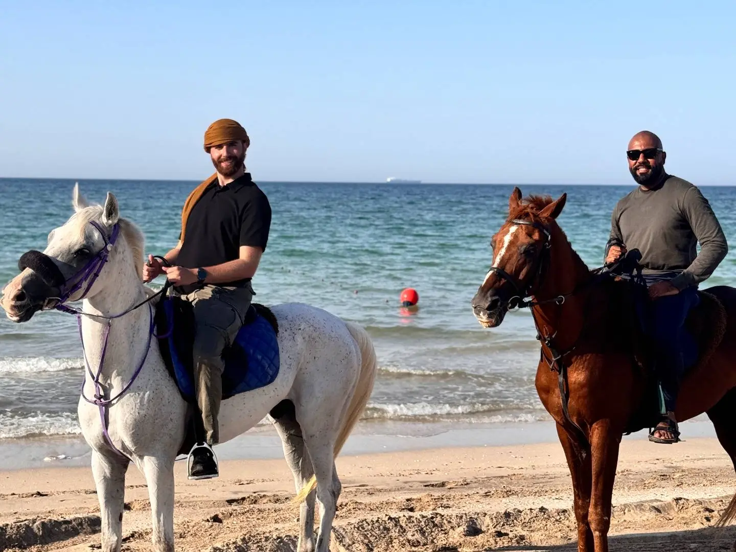 جولة ركوب الخيل على شاطئ الغروب