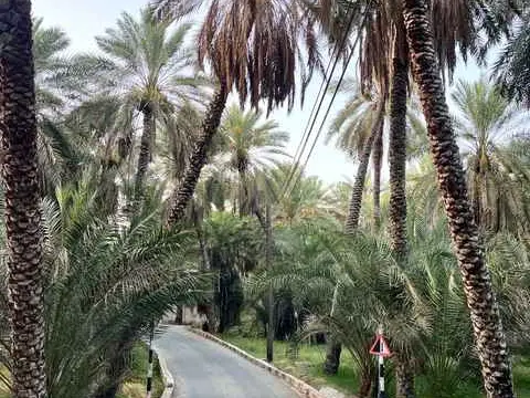 الصورة الرئيسية للجولة Nizwa - Al jabal alakhder tour 