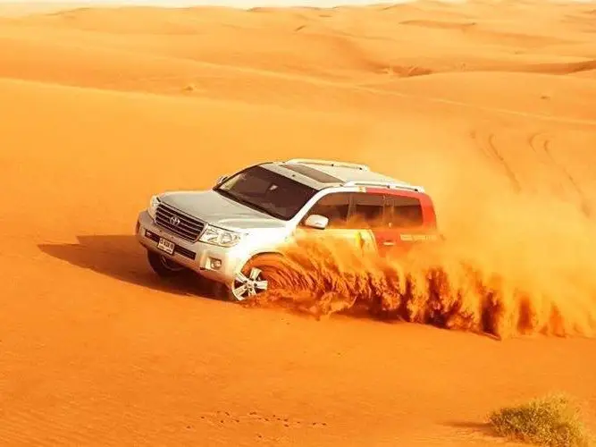 جولة لأستكشاف الصحراء 