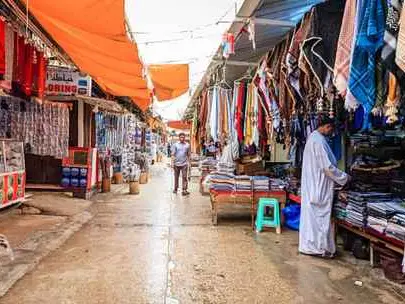 الصورة الرئيسية للجولة جوله في المدينه