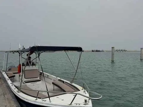 الصورة الرئيسية للجولة رحلة إلى جزر الديمانيات (نصف يوم)
