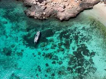 الصورة الرئيسية للجولة رحلة خاصة إلى جزر الديمانيات (نصف يوم)