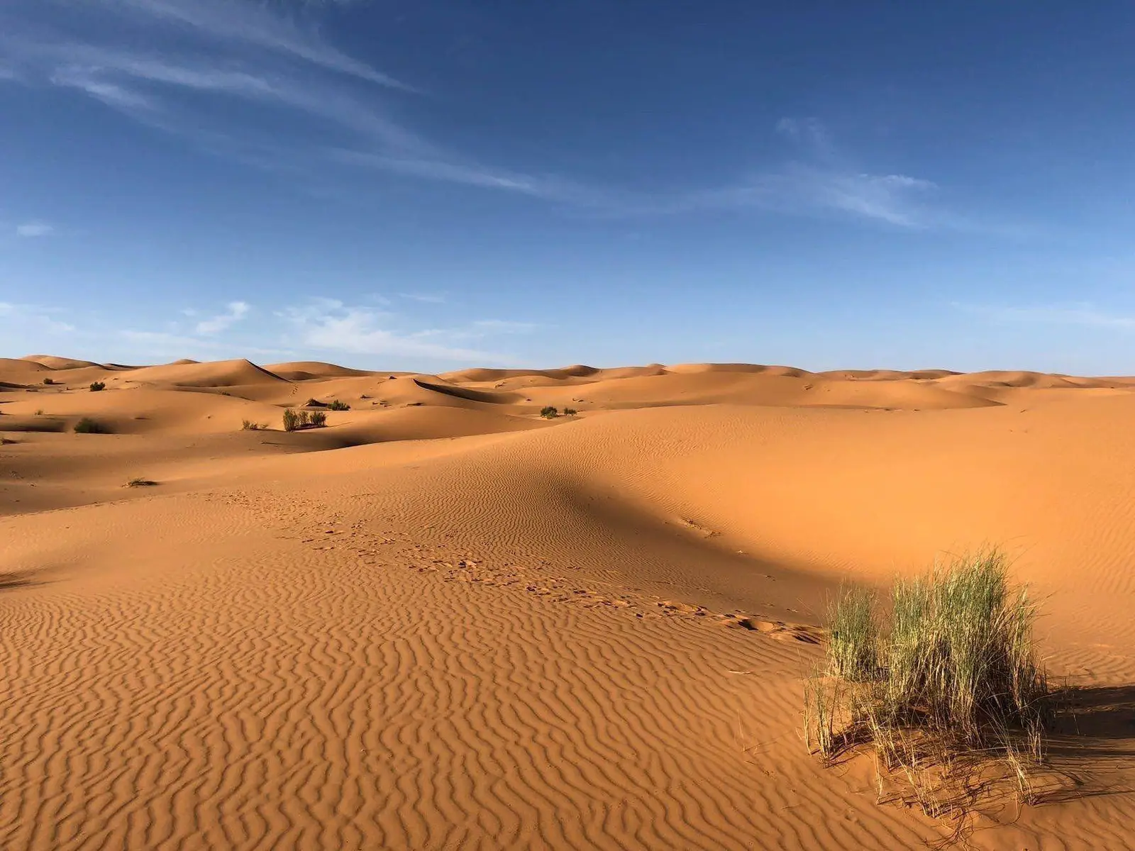 مشاهده الغروب في رمال الخذف