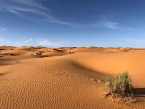 الصورة الرئيسية للجولة مشاهده الغروب في رمال الخذف