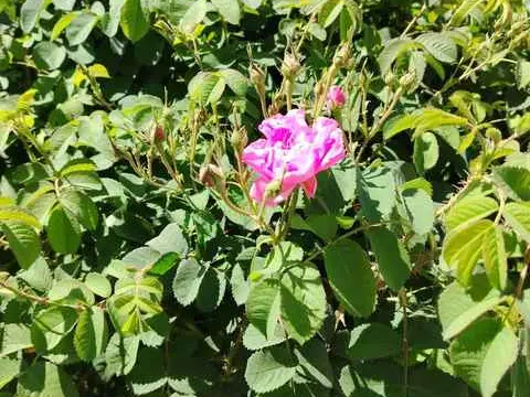 الصورة الرئيسية للجولة رحلة قرى الجبل الثلاث + ورادي بني حبيب