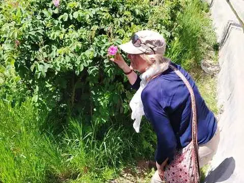 الصورة الرئيسية للجولة رحلة قرى الجبل الثلاث + ورادي بني حبيب