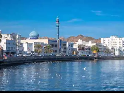 Main tour image for Muscat City Tour