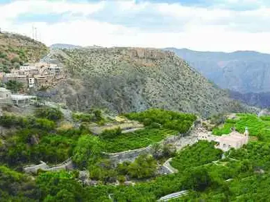 الصورة الرئيسية للجولة نقل من بركة الموز إلى الجبل الأخضر (ذهاب وعودة)