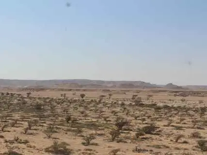 الصورة الرئيسية للجولة رحلة سفاري في الصحراء ليوم كامل (9 ساعات)