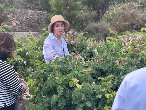 الصورة الرئيسية للجولة المشي لمسافات طويلة
