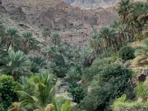 الصورة الرئيسية للجولة وادي سحتن وجما و نخل و ممشى افي 