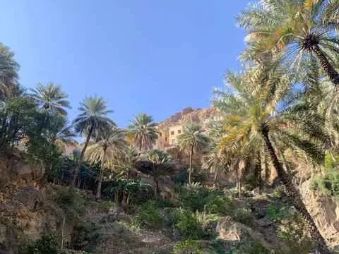 الصورة الرئيسية للجولة وادي سحتن وجما و نخل و ممشى افي 