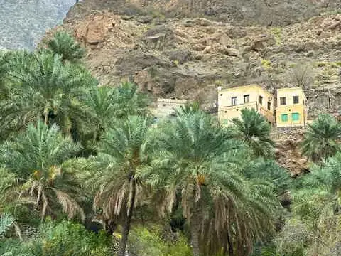 الصورة الرئيسية للجولة وادي سحتن وجما و نخل و ممشى افي 