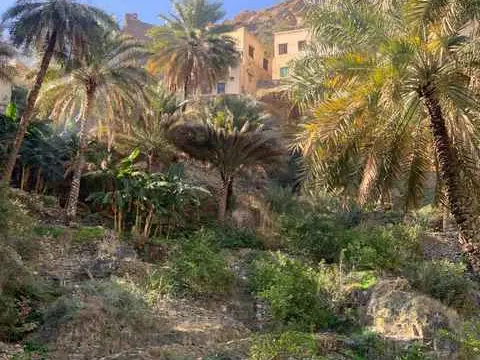 الصورة الرئيسية للجولة وادي سحتن وجما و نخل و ممشى افي 