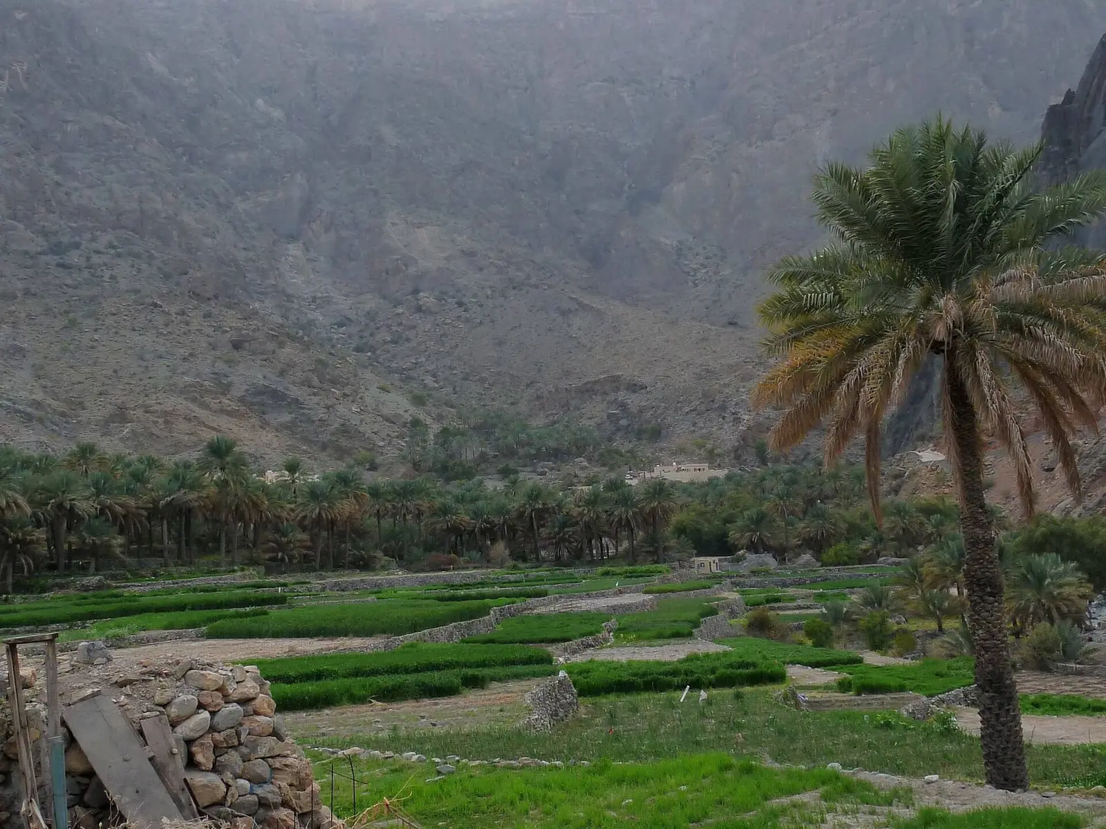 Photo of Bilad Sayt