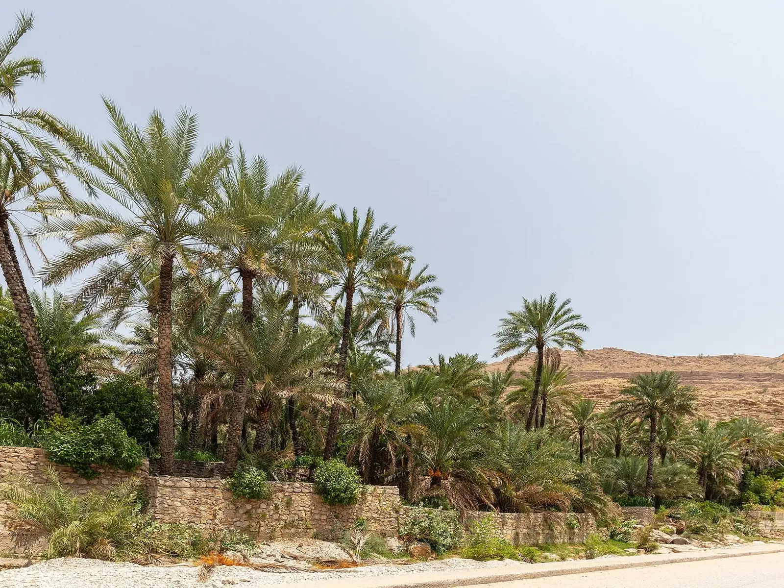 Photo of Wadi Bani Khalid hiking trail
