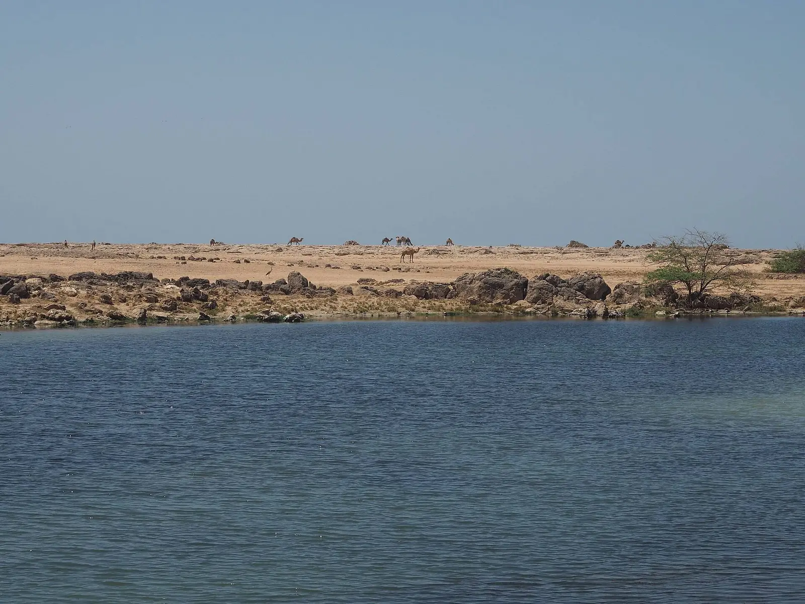 Photo of Sumhuram (Khor Rori), photo 11 of 16
