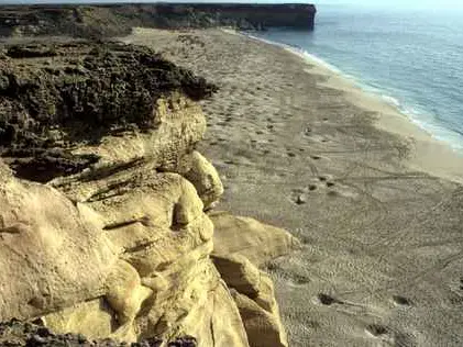 Photo of Ras Al Hadd Beach