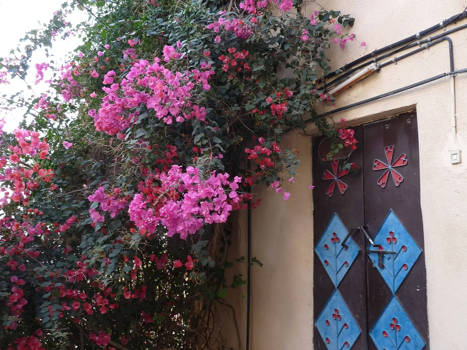 صورة مسار المشي مسار مسفاة العبريين