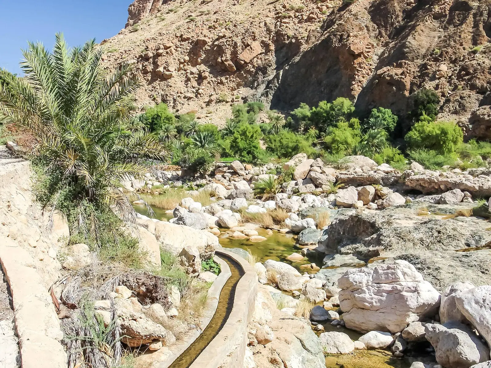 صورة وادي طيوي