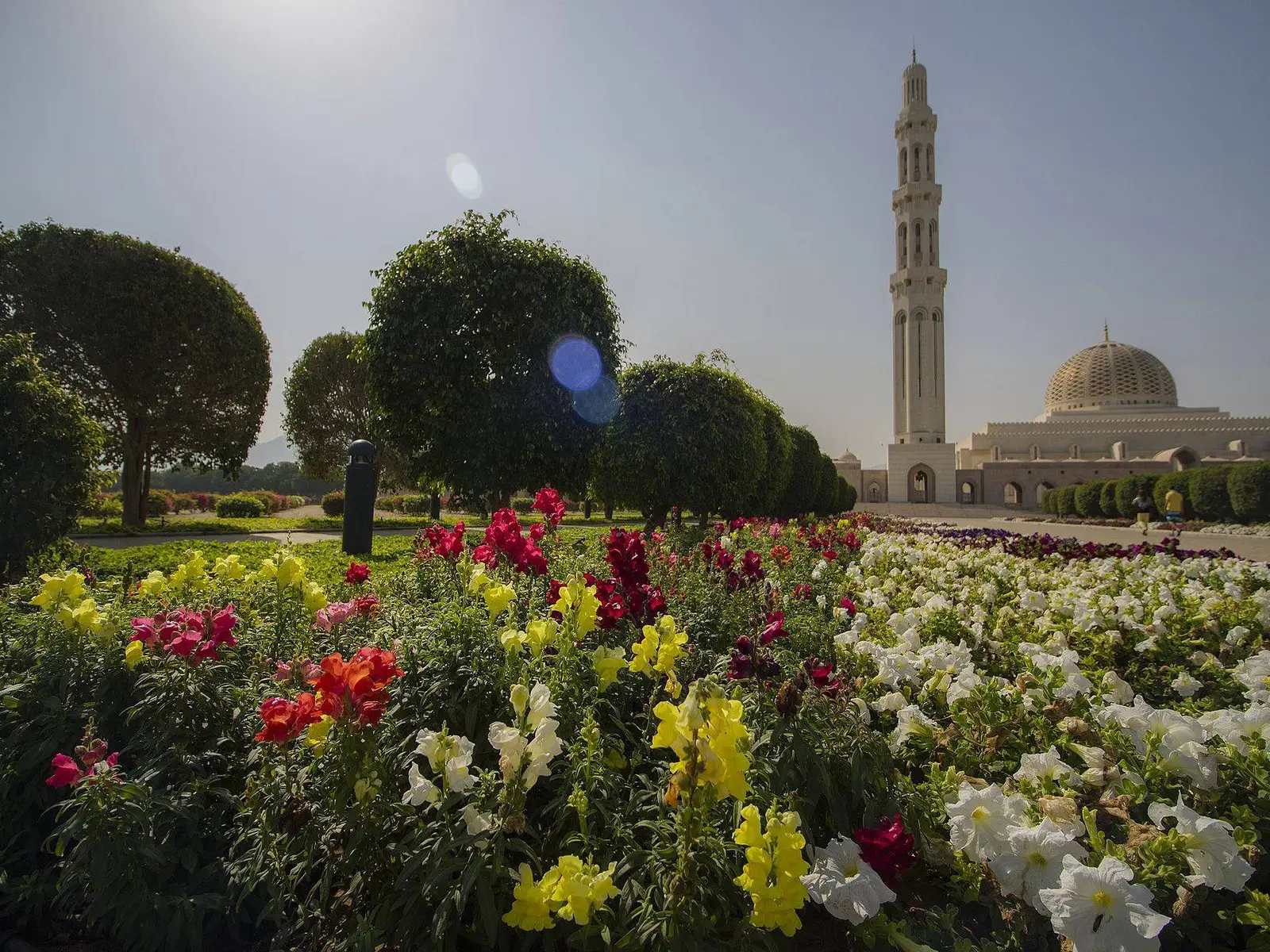 صورة جامع السلطان قابوس الأكبر (مسقط)