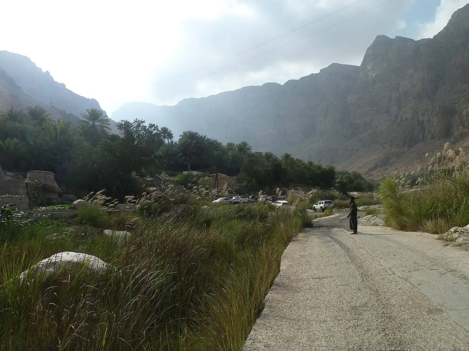 صورة وادي طيوي