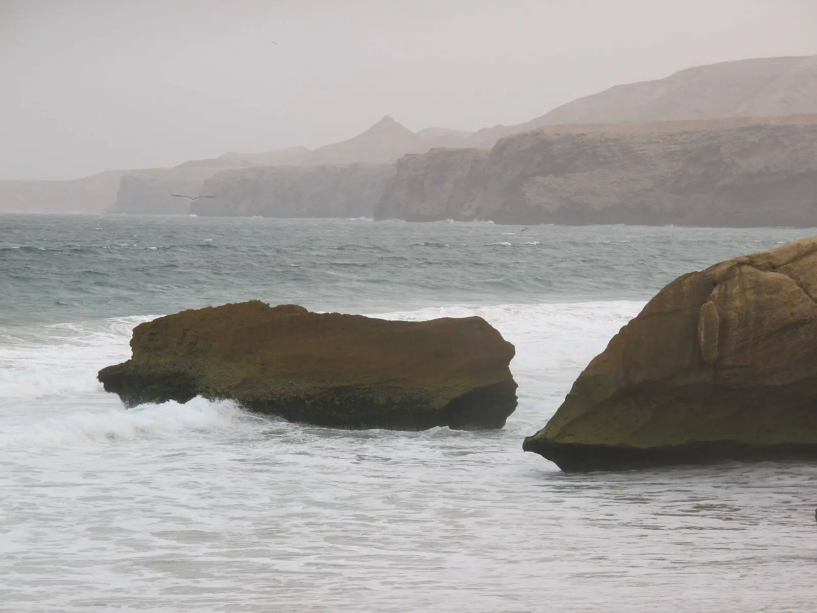 Photo of Ras Al Jinz Turtle Reserve, photo 7 of 8
