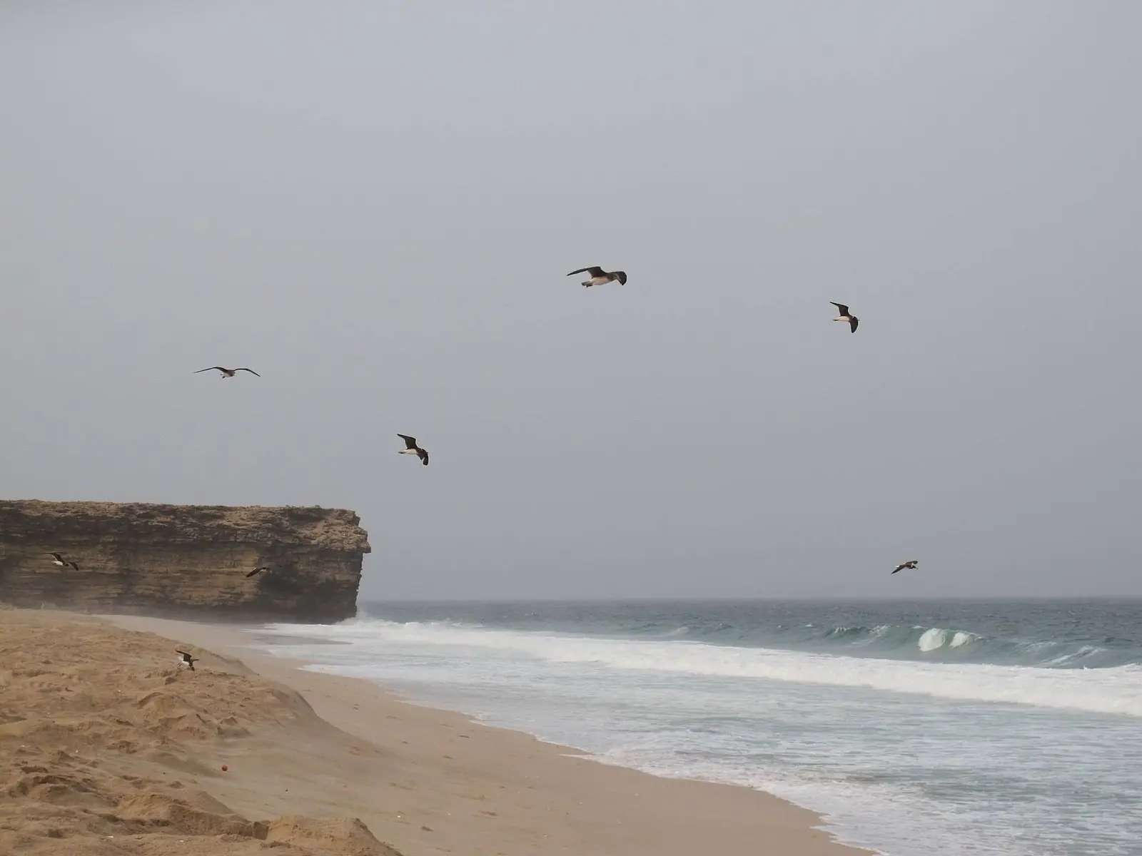 Photo of Turtle Beach (Ras Al Jinz), photo 5 of 7