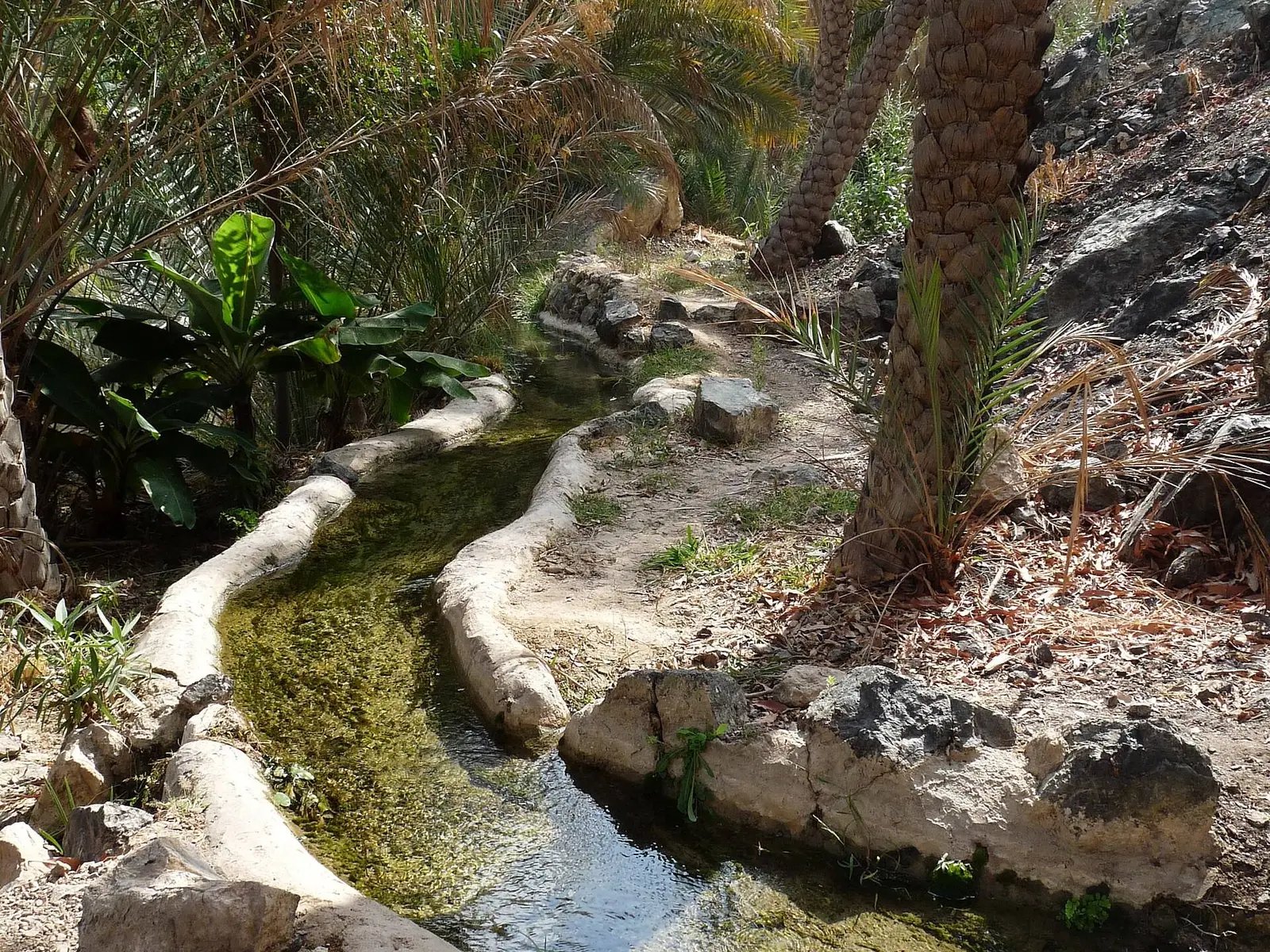 Photo of Wadi Tiwi hiking trail