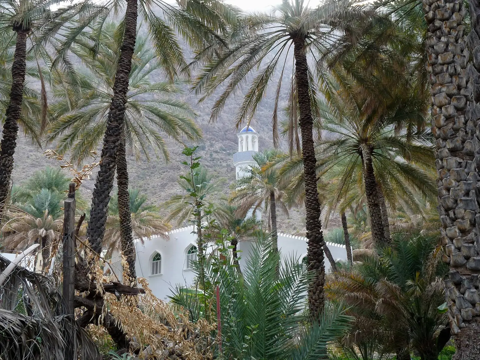 Photo of Bilad Sayt