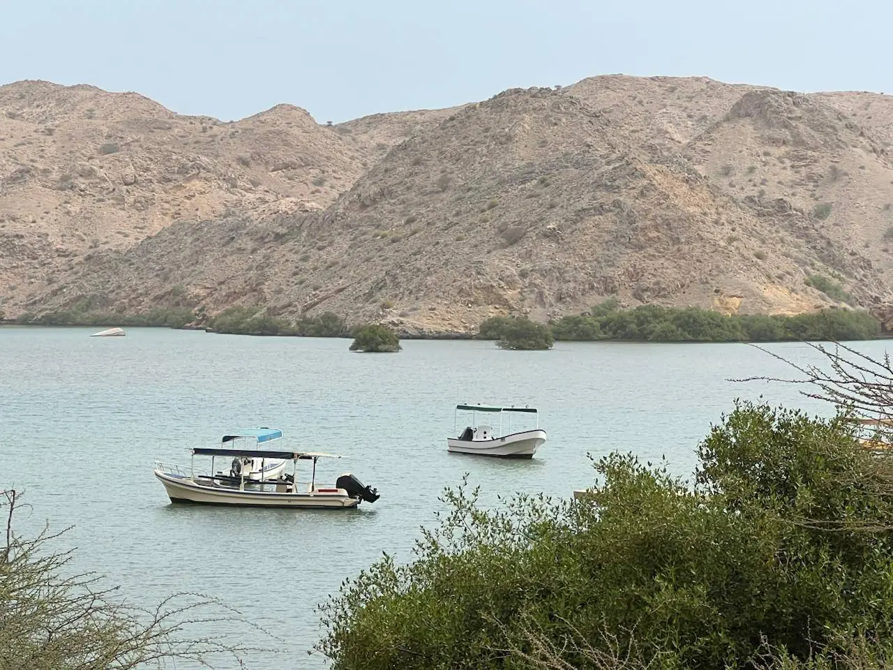 صورة بندر الخيران