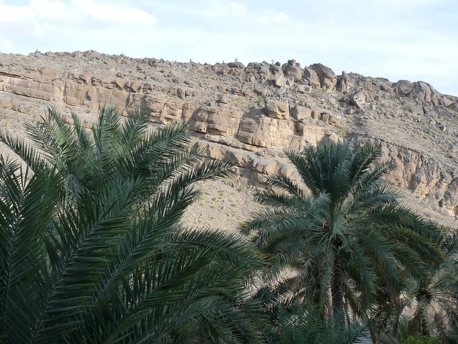 صورة مسار المشي مسار مسفاة العبريين