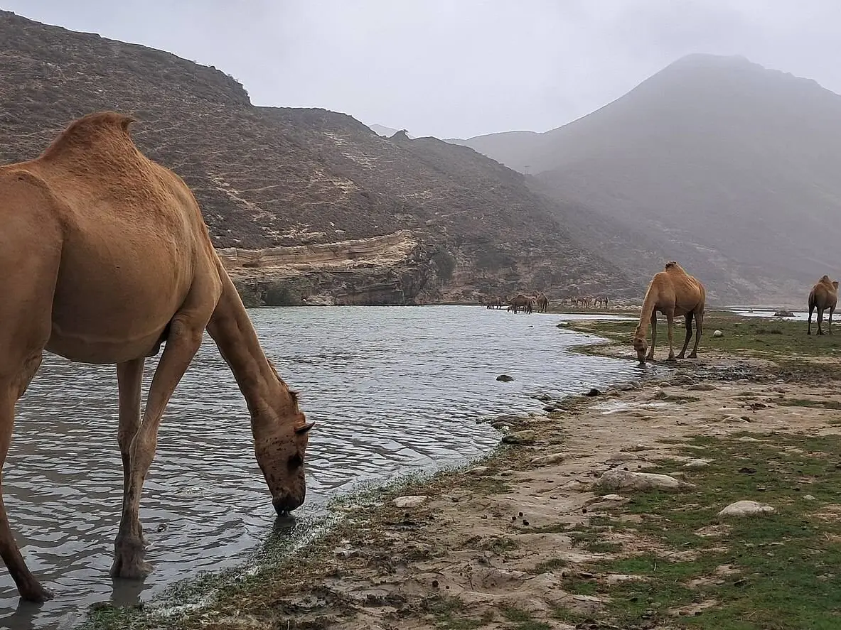 Photo of Al Mughsail Beach