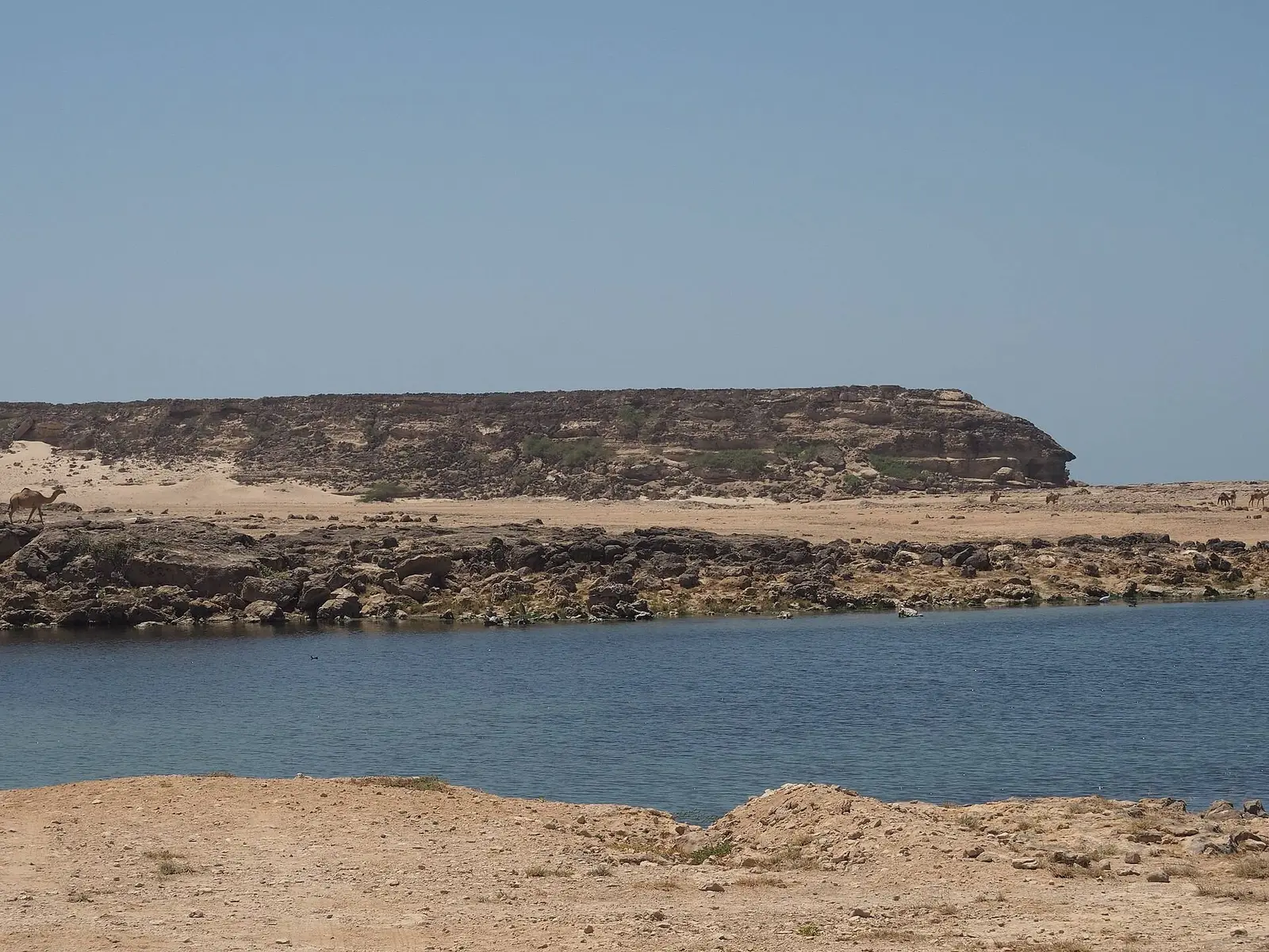 Photo of Sumhuram (Khor Rori), photo 10 of 16