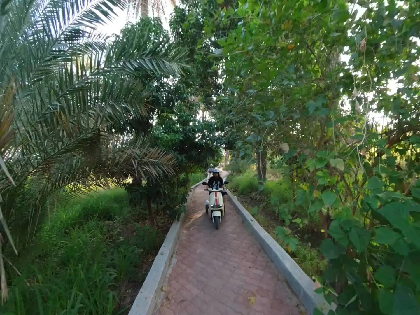 جولة الدراجات في نزوى 🛵