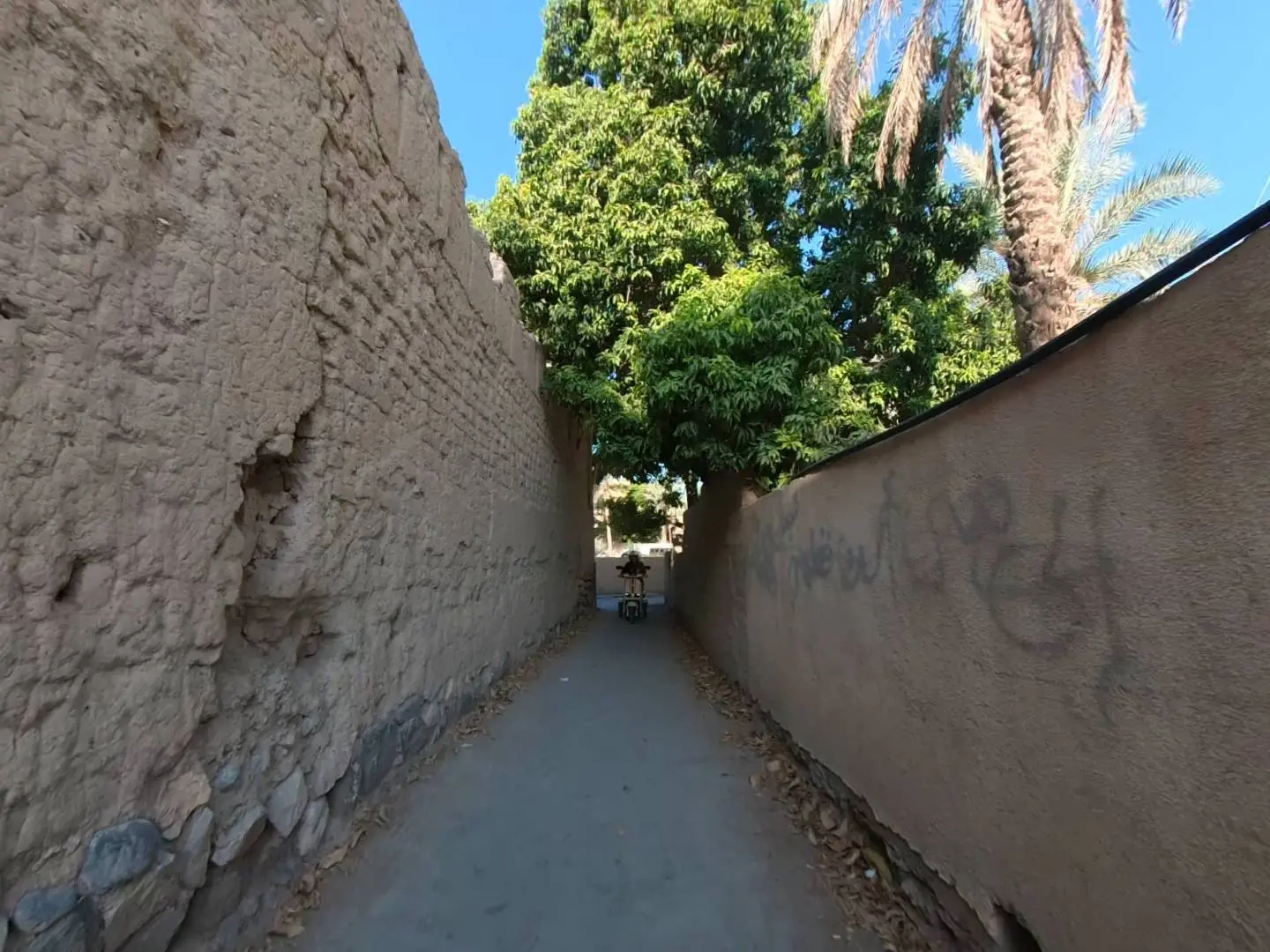 جولة الدراجات في نزوى 🛵