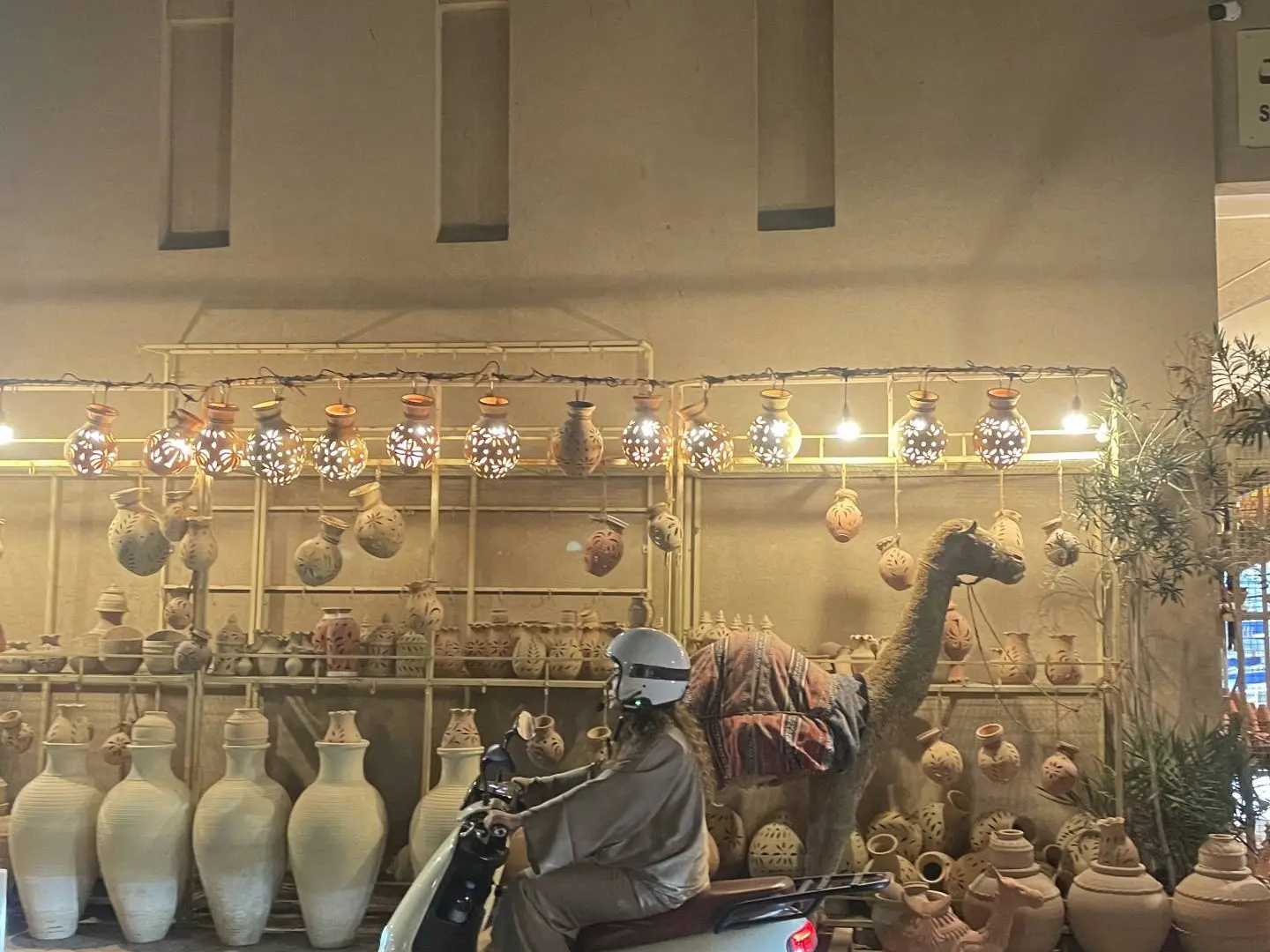 جولة الدراجات في نزوى 🛵