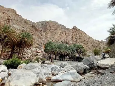 الصورة الرئيسية للجولة ولاية نخل محافظة جنوب الباطنة 